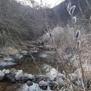 춘화로 14-3 이미지