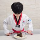 유로태권도