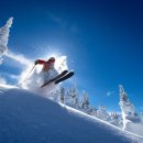 엘리시안 강촌 스키장 이미지