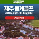제주이글여행사 이미지