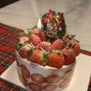 신라농장 | 🍓딸기케이크 비교후기(키친205 vs 신라호텔 vs 펫어케이크)