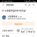 안다미로넷