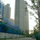 대덕대로-13 이미지