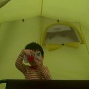 코스모스가든 이미지