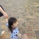 민아 에너지 | [파주 아이랑 가볼만한곳] 600평 대형 헤이리마을 '아지동 키즈카페' 낮잠 패스하고 5시간 논 후기 🎠