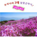 [4월13일] 비슬산 참꽃 보러 갑니다~~ 이미지