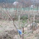 바이오농장 이미지