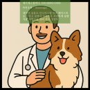 제이에스 동물병원 이미지