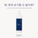하루두피 판교점 이미지
