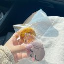 화성 한옥팬션 싱싱하우스 이미지