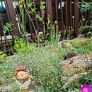 호반 정원 이미지