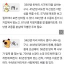 미리보는 띠별 내일의 운세 (3월14일)금요일 이미지