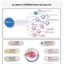 서귀포 주거1번지 동홍동 센트레빌에서 더 특별한 삶이 펼쳐집니다.. 이미지