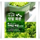 식탁위의텃밭 | 이즈리빙 30L 대형 텃밭 화분 상추 키우기 플라스틱 저면관수 베란다 홈가드닝 플랜트박스