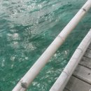 나의 바다 🌊 이미지