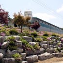 독립부화장 이미지