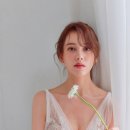 감탄패키지