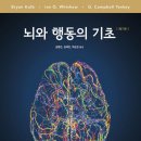 고려대학교 심리융합과학대학원 이미지
