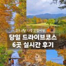 은행자동차(주) | 경주 11월 단풍 드라이브코스 6곳 실시간 후기