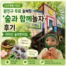 숲속하나몬테소리어린이집 | [24개월 이상] 광진구 무료 숲체험 '숲과 함께놀자' 후기｜아차산 숲어린이집