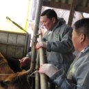 신안축산 이미지