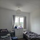 다시청춘민박 이미지