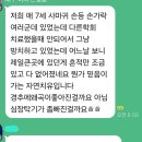 여러군데 생기는 손등사마귀 이미지