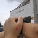 현2리 마을회관 이미지