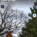 75광장 네이버블로그