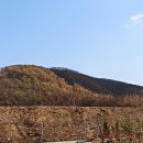 의성(영덕) 이미지