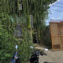 스푸너스 | D+381 | 코이카 165기 | Kios Matenek Sunday Market