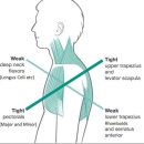 노블골프헬스 이미지