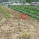 방동보건진료소 이미지