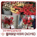 행복flowershop | 진주 꽃다발 추천 어버이날 선물 플라워샵 어크미(ACME)