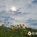 낙동강수련원 캠핑장 이미지