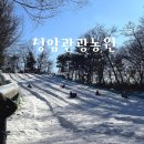 겨울 갈만한 곳 경기도 용인 이천 눈썰매장 청암관광농원 가성비 최고