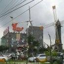 백수농원 이미지