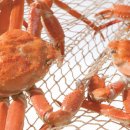 세종회수산 이미지