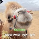 중부슈퍼 | 몽골 중부 여행 1일차 (feat.낙타체험 ,엘승타사르하이 )