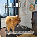 우도한반도여 입구해변 | 우도땅콩아이스크림맛집 신상 카페추천 하고수동 해변뷰 우디한섬