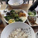 풍년회관 | 사우동 맛집 벚꽃뷰 식당 풍년식당 보리밥 정식 후기 청국장 추천