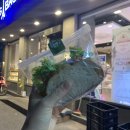 파리바게뜨 오포아이파크점