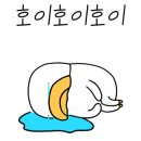 302 미노 이미지