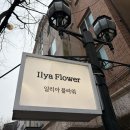 플라워봄 | 용인 보정동 카페거리 꽃집 일리아플라워 봄색감 꽃다발 후기
