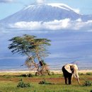 세계의 명소와 풍물 28 킬리만자로산(Mt. Kilimanjaro) 이미지