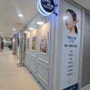 페이스라인(FACELINE)