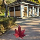 이천시 공설운동장 축구장 이미지