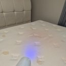 이편한세상 양주 2차 | 양주 매트리스 청소·세탁 Ι 매트리스 곰팡이 제거