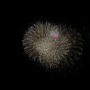 밀레니엄슈퍼 | 슈퍼 파워 P 엄마의 6세 딸과 함께하는 세 가족 도쿄여행 (3) 둘째날(긴자~오모테산도~도쿄타워)