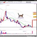 소프트 센즈 이미지